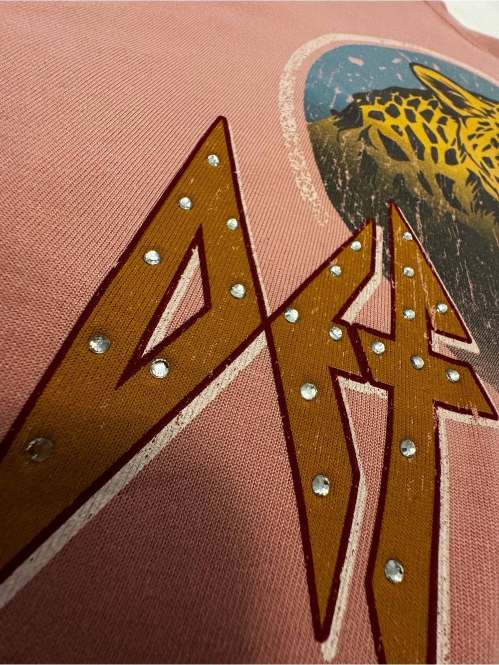 Terra & Sky Dusty Coral Pullover with Logo Tag - Picture 2 of 7